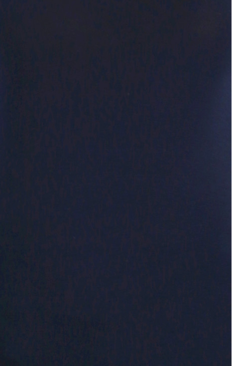 Polo Neck Top in  Dark Blue