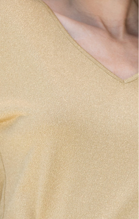 Glittery V neck Top in Gold
