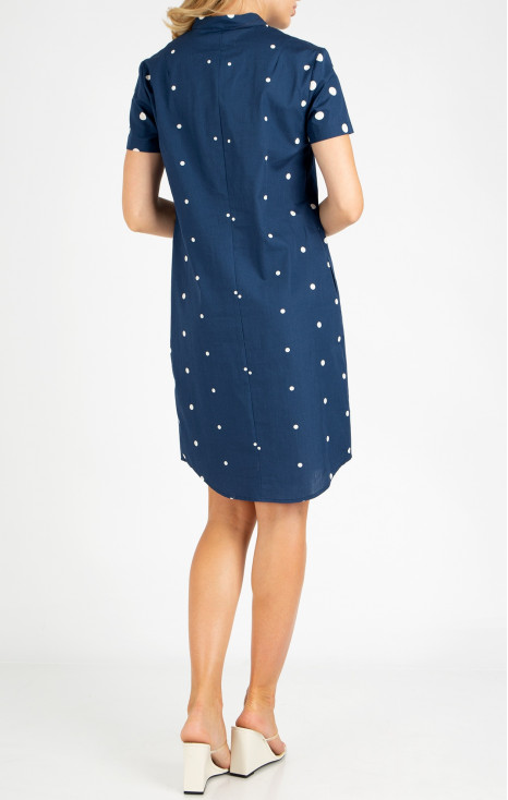 Relaxed Fit Shirt Dress in Blue [1]