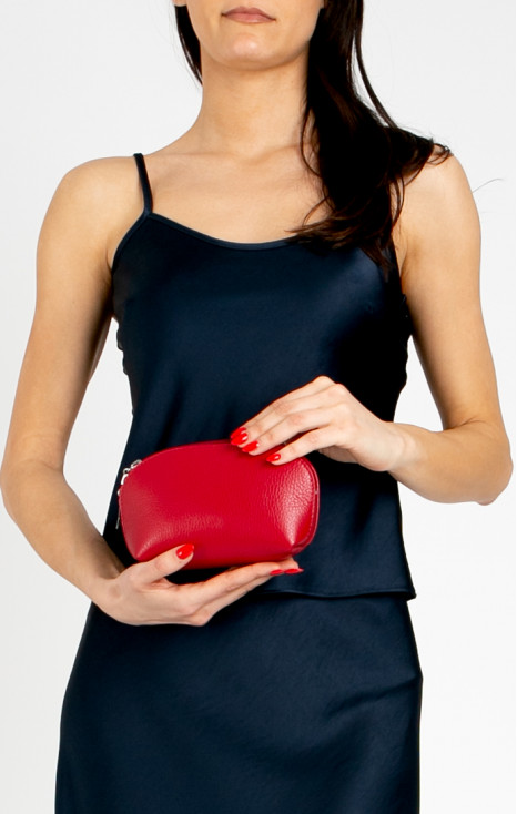 Makeup Bag in Garnet Red colour